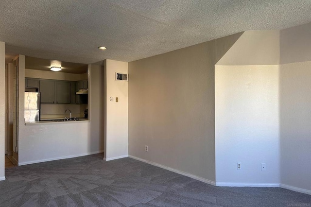 carpeted empty room featuring sink and a textured ceiling