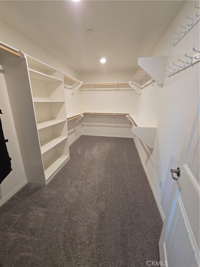 walk in closet with dark colored carpet