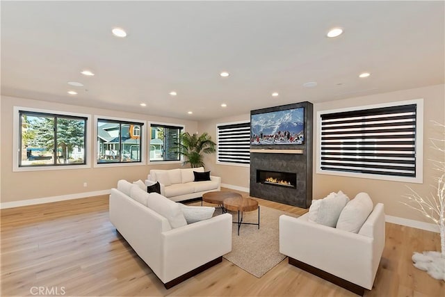 living room featuring light hardwood / wood-style flooring and a fireplace