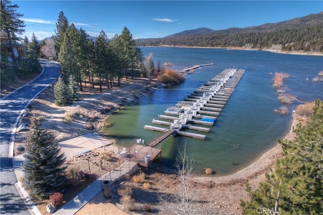 property view of water with a mountain view