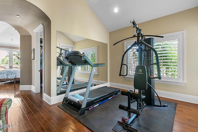 workout room featuring lofted ceiling and dark wood-type flooring