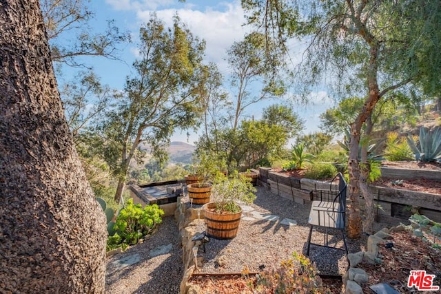 view of yard with a mountain view