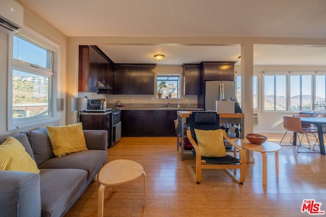 kitchen with sink, light hardwood / wood-style floors, appliances with stainless steel finishes, a healthy amount of sunlight, and dark brown cabinetry