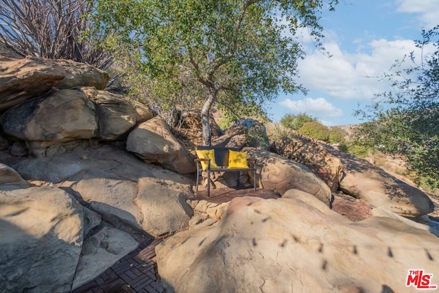 view of local wilderness