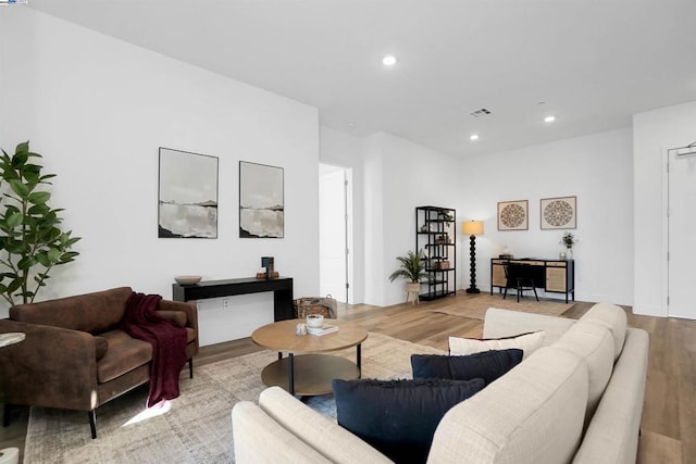 living room featuring light hardwood / wood-style floors