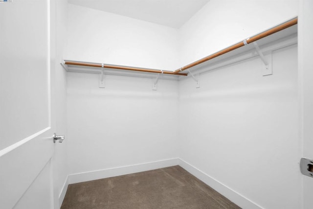 spacious closet featuring dark colored carpet