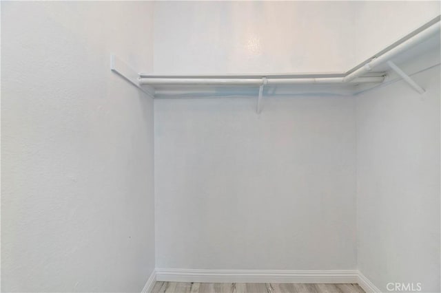 spacious closet featuring hardwood / wood-style flooring