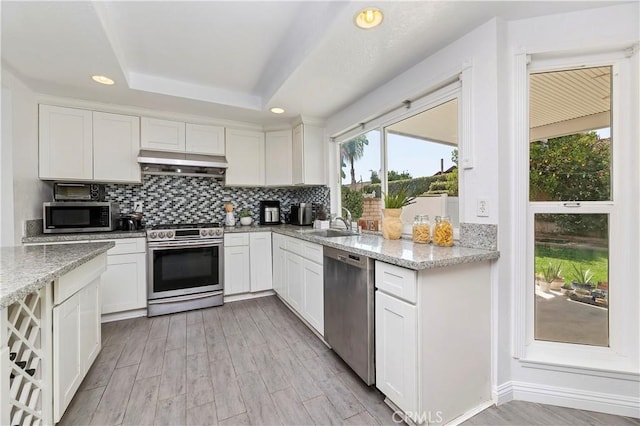 kitchen featuring stainless steel appliances, a raised ceiling, white cabinets, and light stone countertops