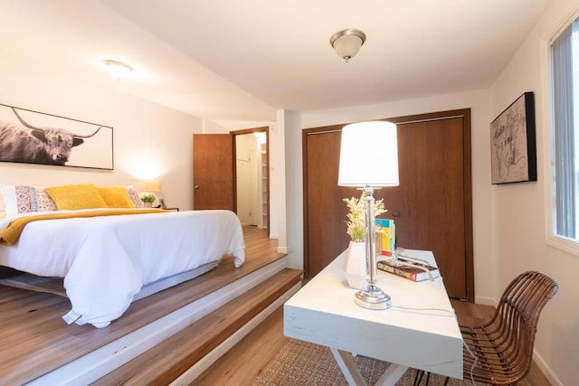 bedroom with wood-type flooring and a closet