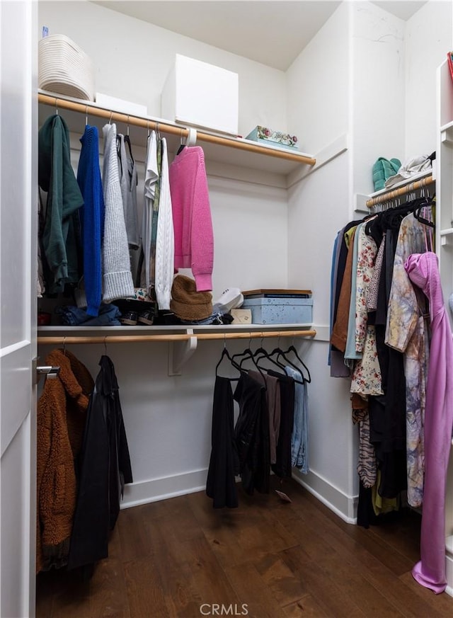 spacious closet with dark hardwood / wood-style flooring