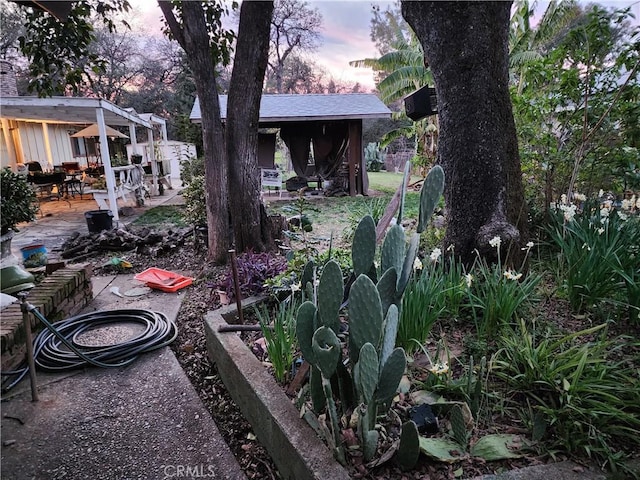 view of yard at dusk