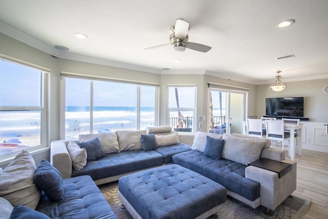 living room featuring ceiling fan, ornamental molding, and light hardwood / wood-style flooring