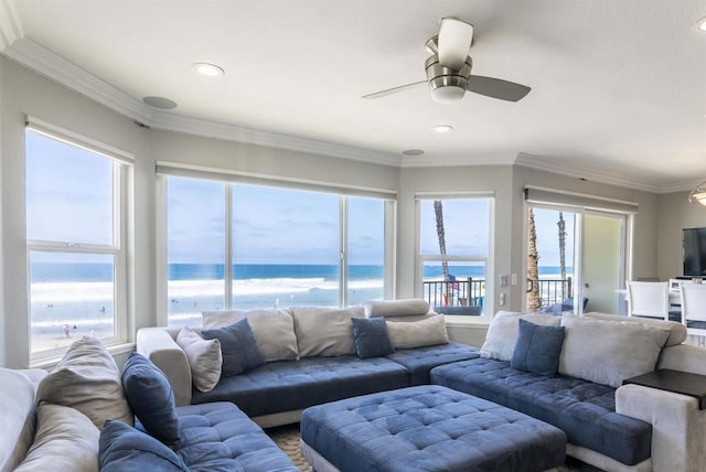 living room featuring ceiling fan and ornamental molding