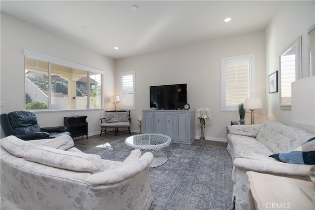 living room with dark hardwood / wood-style floors