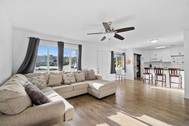 living room featuring ceiling fan and hardwood / wood-style floors