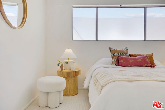 bedroom with carpet floors and multiple windows