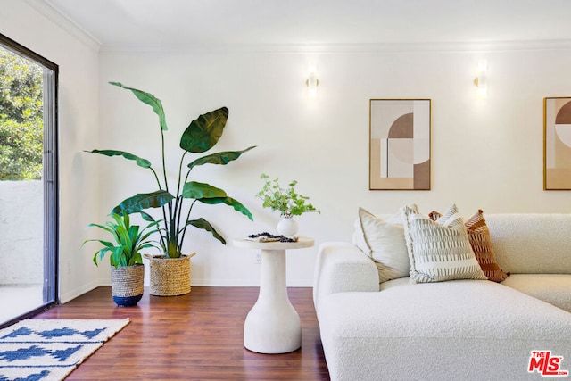 living room featuring dark wood-type flooring and ornamental molding