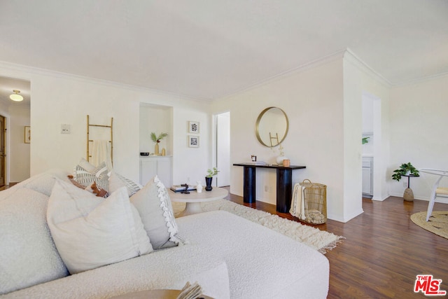 bedroom featuring dark wood-type flooring and ornamental molding