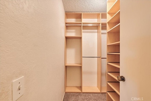 spacious closet with carpet