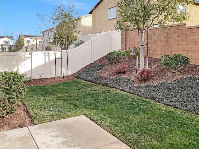 view of yard with a patio