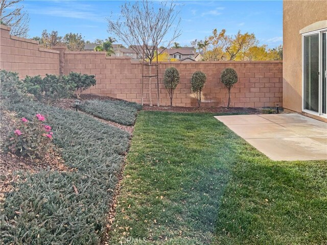 view of yard with a patio area