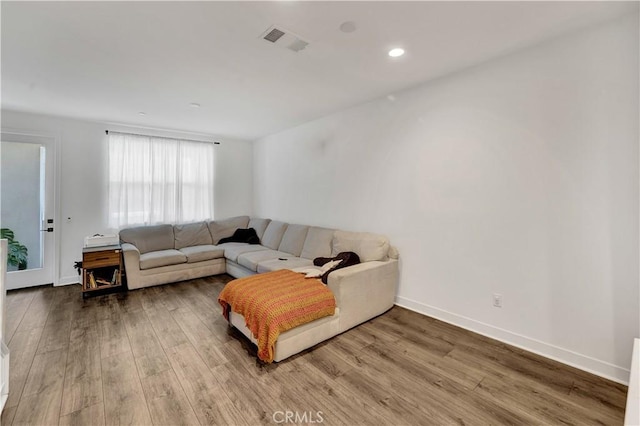 living room with wood-type flooring