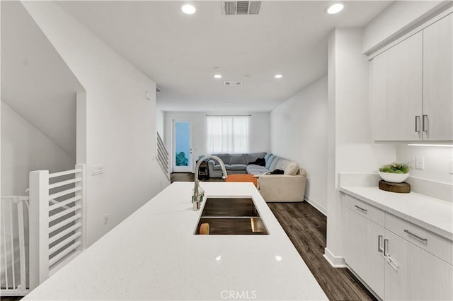 kitchen with sink and dark wood-type flooring