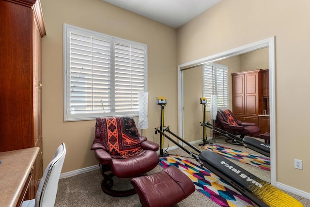 sitting room with carpet floors