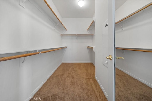 walk in closet featuring light colored carpet