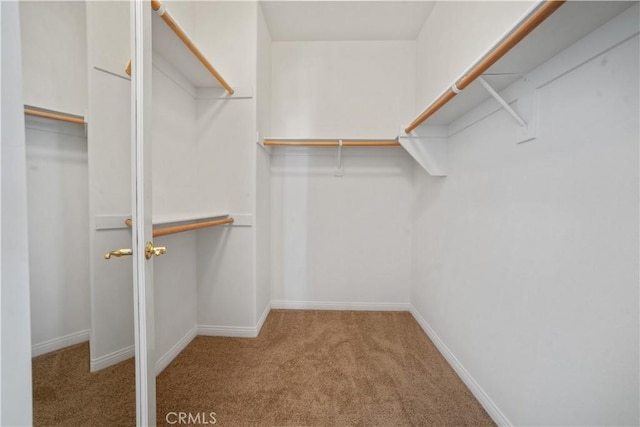 spacious closet featuring light colored carpet