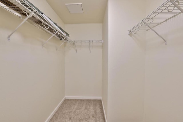 spacious closet with carpet flooring