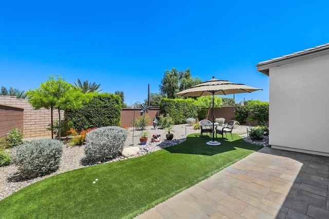 view of yard with a patio area