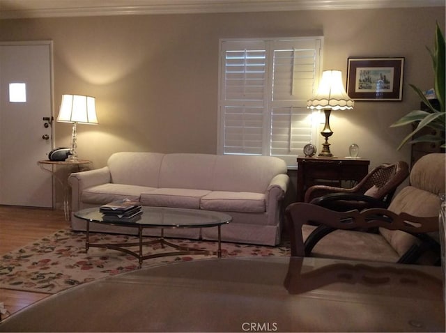 living room with ornamental molding and hardwood / wood-style floors