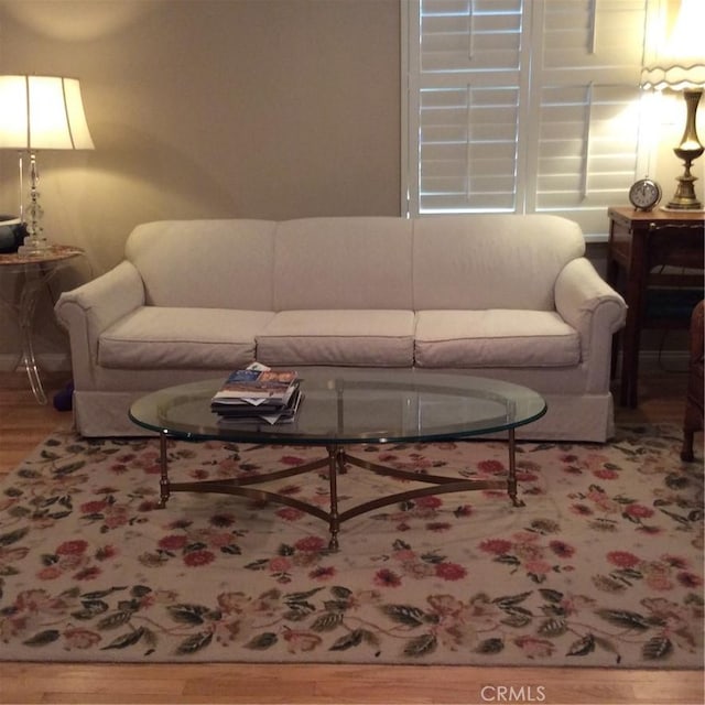 living room featuring wood-type flooring