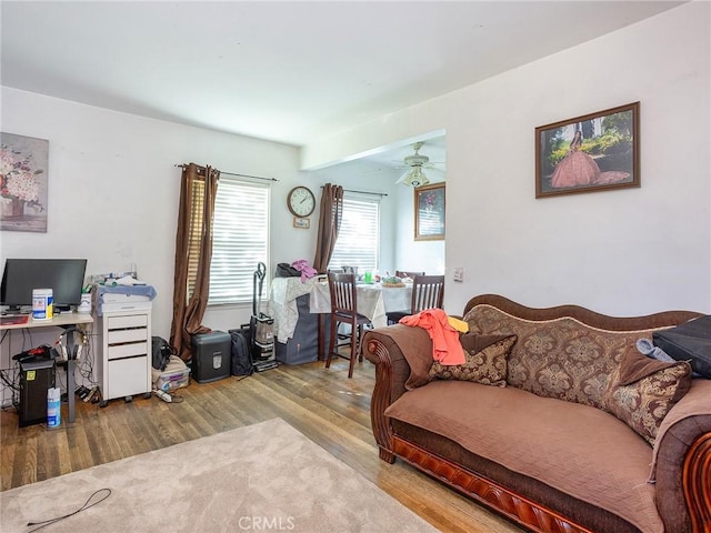 living room with ceiling fan and light hardwood / wood-style flooring