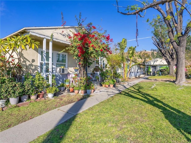 view of front of property featuring a front yard