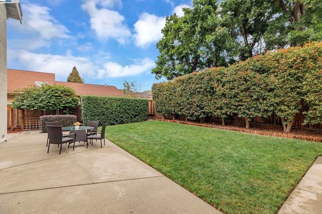 view of yard with a patio area