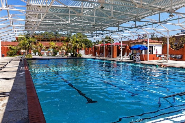 view of swimming pool with a lanai and a patio area