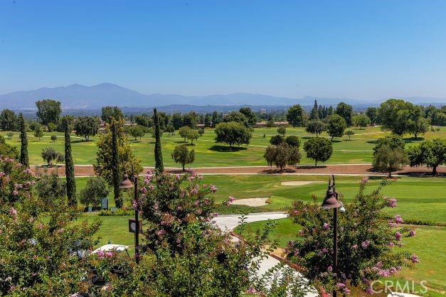 view of community featuring a mountain view and a lawn