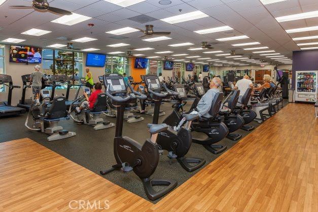 workout area featuring ceiling fan, a drop ceiling, and hardwood / wood-style floors