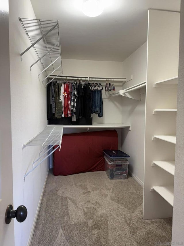 spacious closet with light carpet