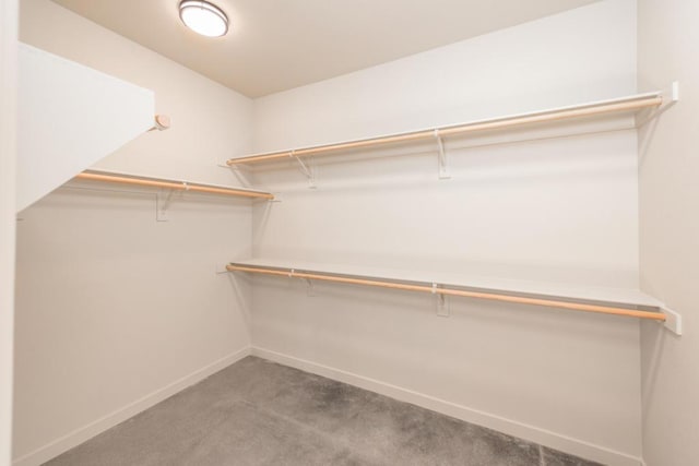 walk in closet featuring carpet flooring