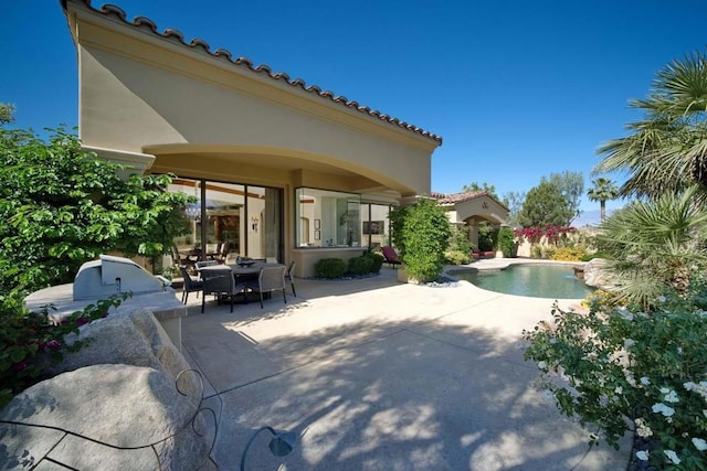 view of swimming pool featuring a patio area and exterior kitchen