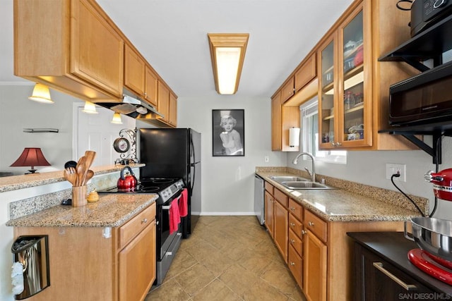 kitchen with sink, stainless steel appliances, and light stone countertops