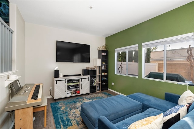 living room with wood-type flooring