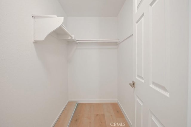 spacious closet featuring light wood-type flooring