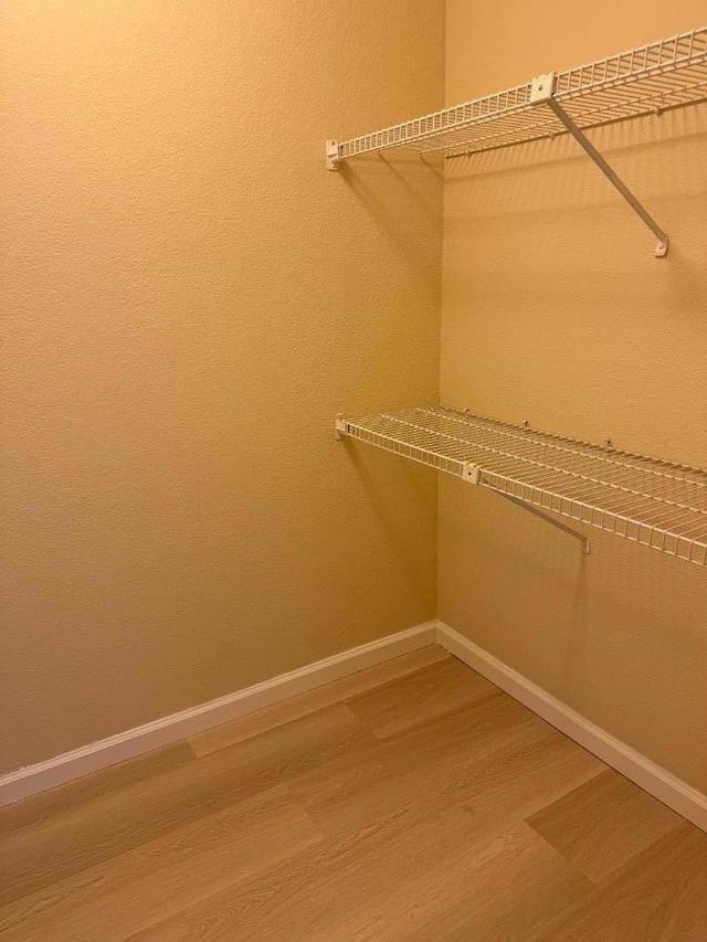 spacious closet with hardwood / wood-style flooring