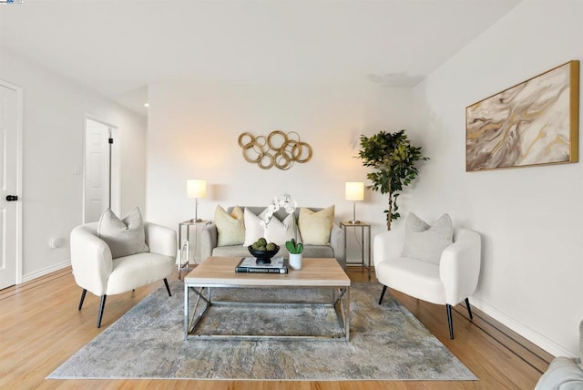 living room with hardwood / wood-style floors