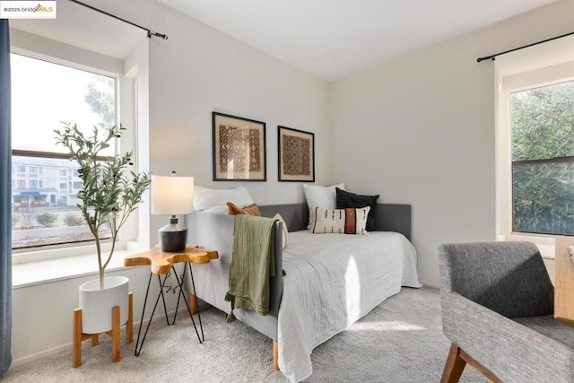 bedroom with multiple windows and carpet