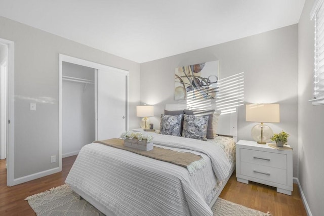 bedroom with wood-type flooring and a closet